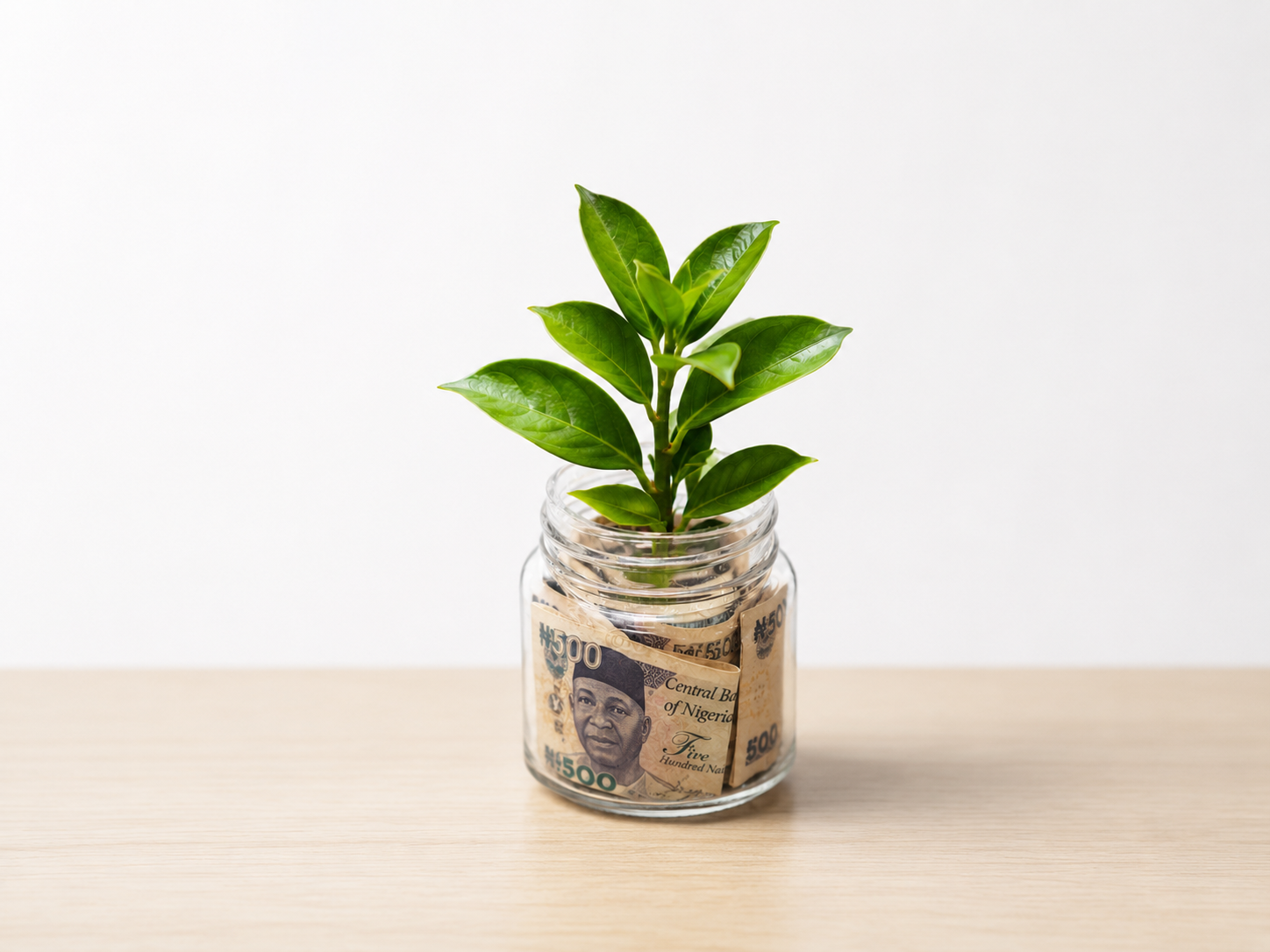 Member confidently planning future finances using Nobles Vault